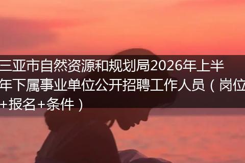 三亚市自然资源和规划局2026年上半年下属事业单位公开招聘工作人员（岗位+报名+条件）