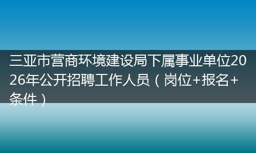 三亚市营商环境建设局下属事业单位2026年公开招聘工作人员（岗位+报名+条件）