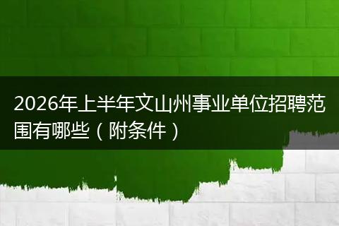 2026年上半年文山州事业单位招聘范围有哪些（附条件）