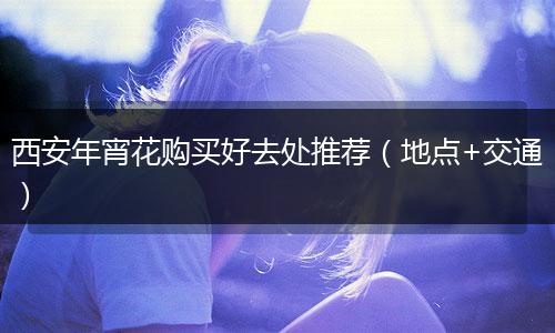 西安年宵花购买好去处推荐（地点+交通）