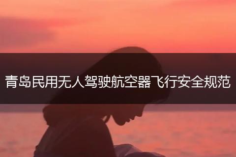 青岛民用无人驾驶航空器飞行安全规范