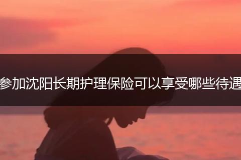 参加沈阳长期护理保险可以享受哪些待遇