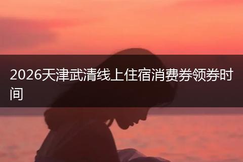 2026天津武清线上住宿消费券领券时间
