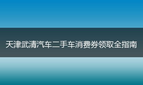 天津武清汽车二手车消费券领取全指南