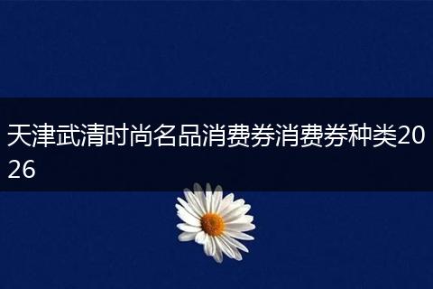 天津武清时尚名品消费券消费券种类2026