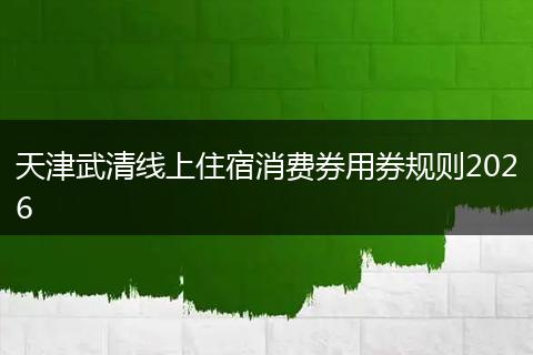 天津武清线上住宿消费券用券规则2026