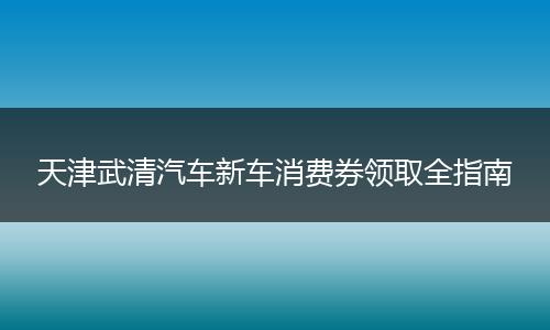 天津武清汽车新车消费券领取全指南