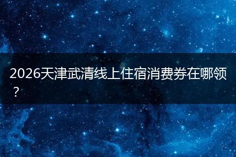 2026天津武清线上住宿消费券在哪领？