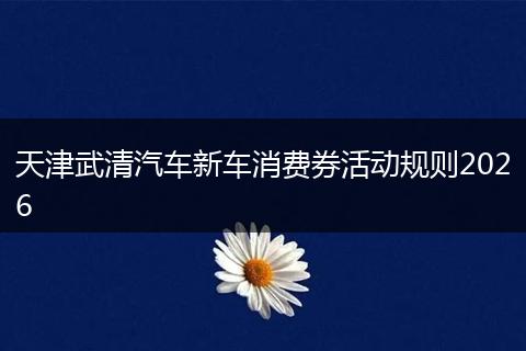 天津武清汽车新车消费券活动规则2026