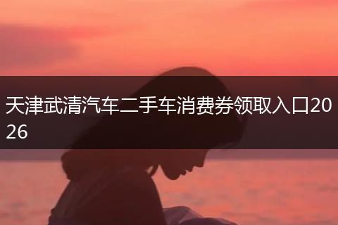 天津武清汽车二手车消费券领取入口2026