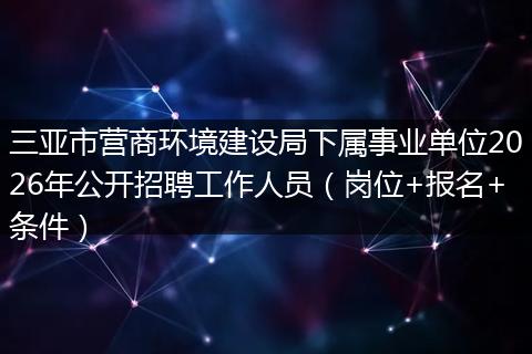 三亚市营商环境建设局下属事业单位2026年公开招聘工作人员（岗位+报名+条件）