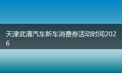 天津武清汽车新车消费券活动时间2026