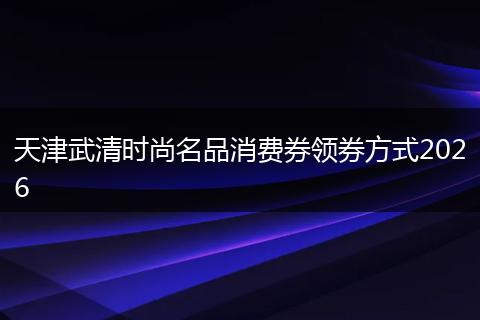 天津武清时尚名品消费券领券方式2026