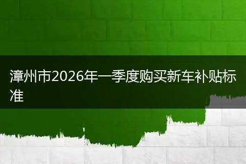 漳州市2026年一季度购买新车补贴标准