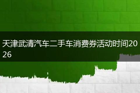 天津武清汽车二手车消费券活动时间2026