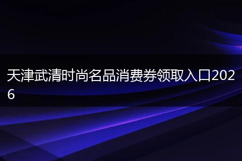 天津武清时尚名品消费券领取入口2026