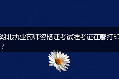 湖北执业药师资格证考试准考证在哪打印？