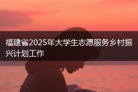 福建省2025年大学生志愿服务乡村振兴计划工作