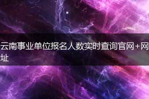 云南事业单位报名人数实时查询官网+网址