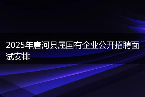 2025年唐河县属国有企业公开招聘面试安排