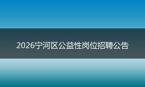 2026宁河区公益性岗位招聘公告