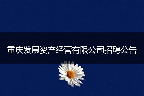 重庆发展资产经营有限公司招聘公告