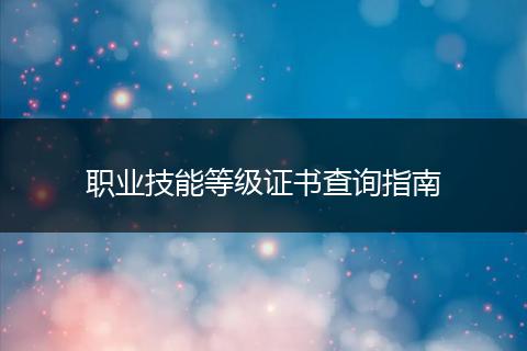 职业技能等级证书查询指南