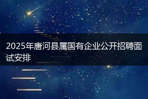 2025年唐河县属国有企业公开招聘面试安排