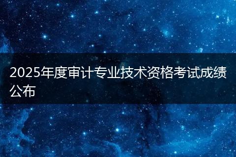 2025年度审计专业技术资格考试成绩公布