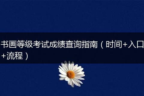 书画等级考试成绩查询指南（时间+入口+流程）