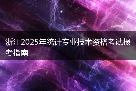浙江2025年统计专业技术资格考试报考指南