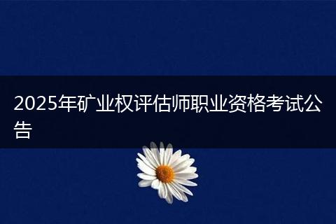2025年矿业权评估师职业资格考试公告