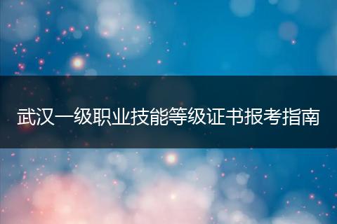 武汉一级职业技能等级证书报考指南