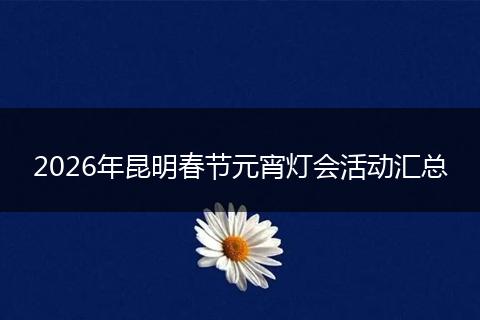 2026年昆明春节元宵灯会活动汇总