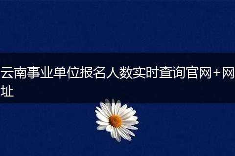 云南事业单位报名人数实时查询官网+网址