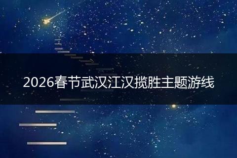 2026春节武汉江汉揽胜主题游线