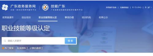 中山职业技能等级证书怎么查询？