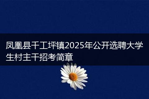 凤凰县千工坪镇2025年公开选聘大学生村主干招考简章