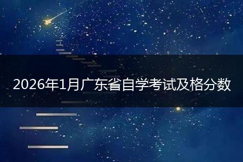2026年1月广东省自学考试及格分数