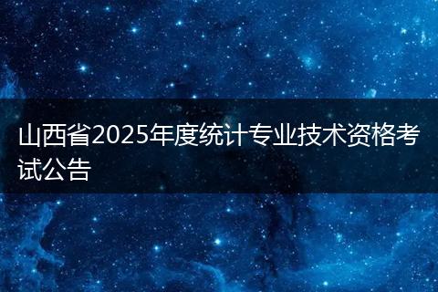 山西省2025年度统计专业技术资格考试公告
