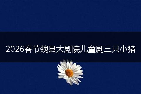 2026春节魏县大剧院儿童剧三只小猪