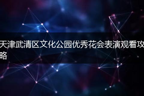 天津武清区文化公园优秀花会表演观看攻略