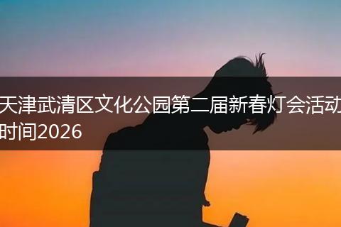 天津武清区文化公园第二届新春灯会活动时间2026