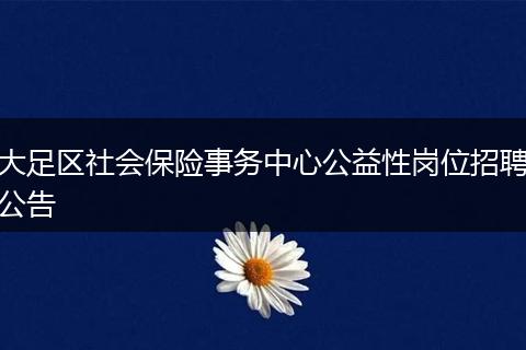 大足区社会保险事务中心公益性岗位招聘公告