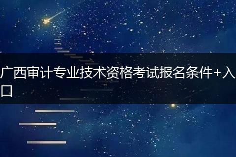 广西审计专业技术资格考试报名条件+入口