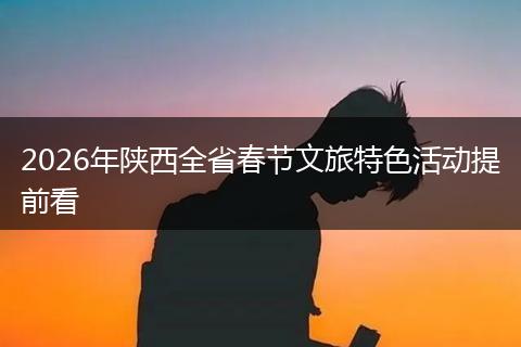 2026年陕西全省春节文旅特色活动提前看