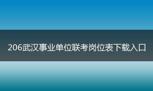 206武汉事业单位联考岗位表下载入口