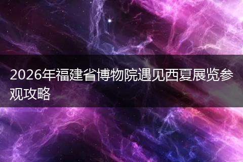 2026年福建省博物院遇见西夏展览参观攻略