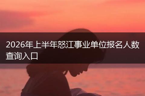 2026年上半年怒江事业单位报名人数查询入口