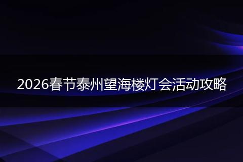 2026春节泰州望海楼灯会活动攻略